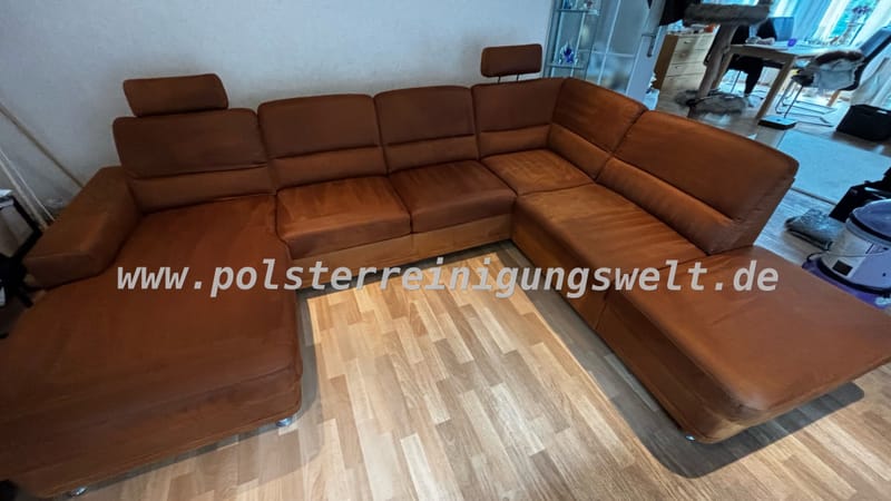 🧼 Polsterreinigung in Leipzig-Lindenthal – Nach zwei Jahren wieder eine Couchaufhellung