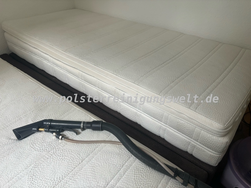 Matratzenreinigung