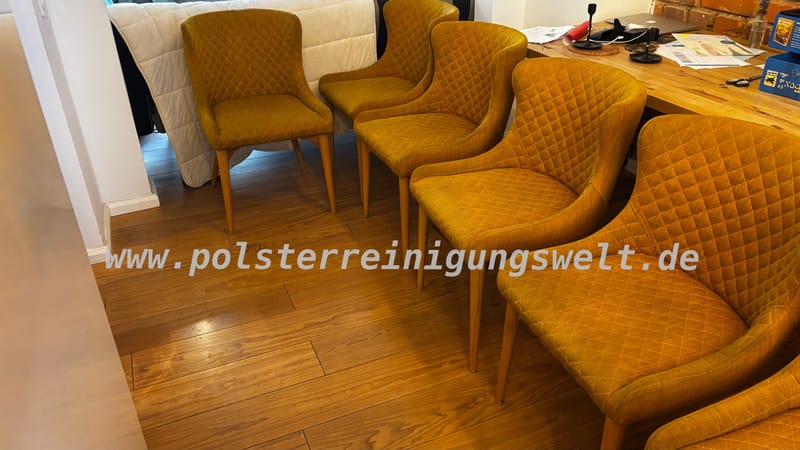Polsterreinigungswelt | Leipzig |