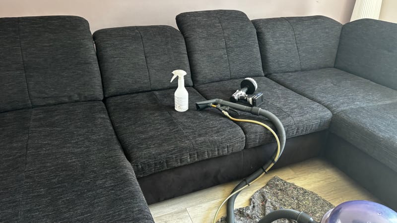 Polsterreinigungswelt in Leuna | Katzenhinterlassenschaften auf Sofa & Polstermöbeln