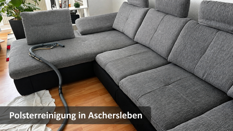 Professionelle Polsterreinigung in Aschersleben – eine große Wohnlandschaft wird wieder frisch