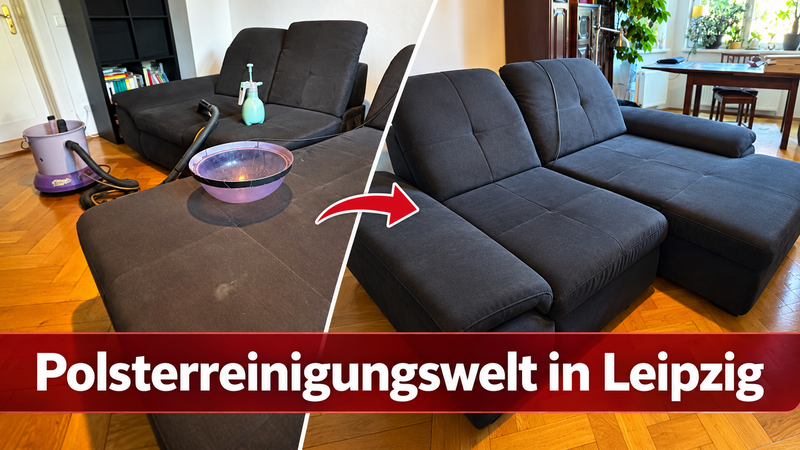 Polsterreinigung in Leipzig – erfolgreicher Einsatz in der Windscheidstraße
