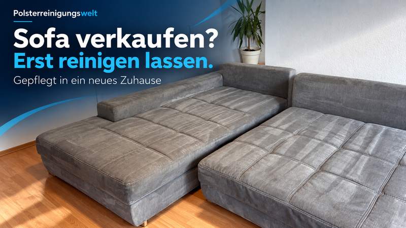 Sofa verkaufen? Mit einer Polsterreinigung gut vorbereitet – Polsterreinigungswelt in Leipzig