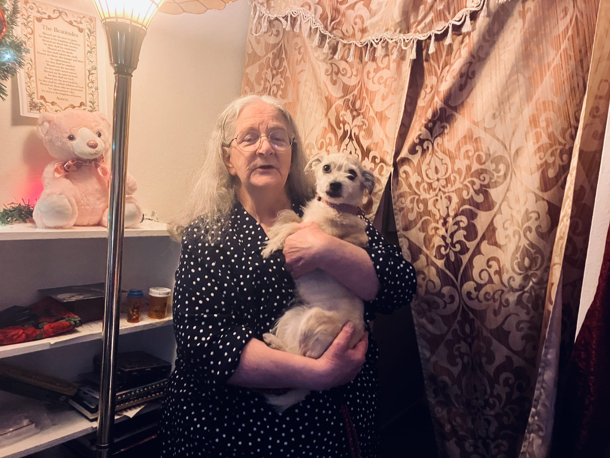 It only took hours, but Mitzy landed with her new owner in a loving home.