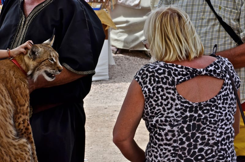 Frauen  |  © Almut Adler