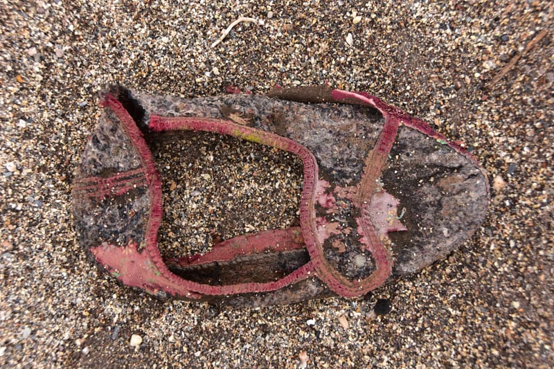 Marodes  |  © Almut Adler