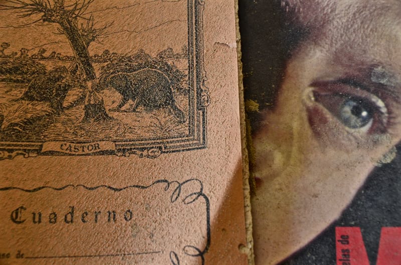 Marodes  |  © Almut Adler