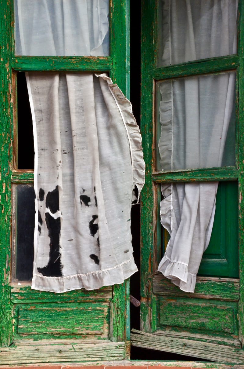 Marodes  |  © Almut Adler