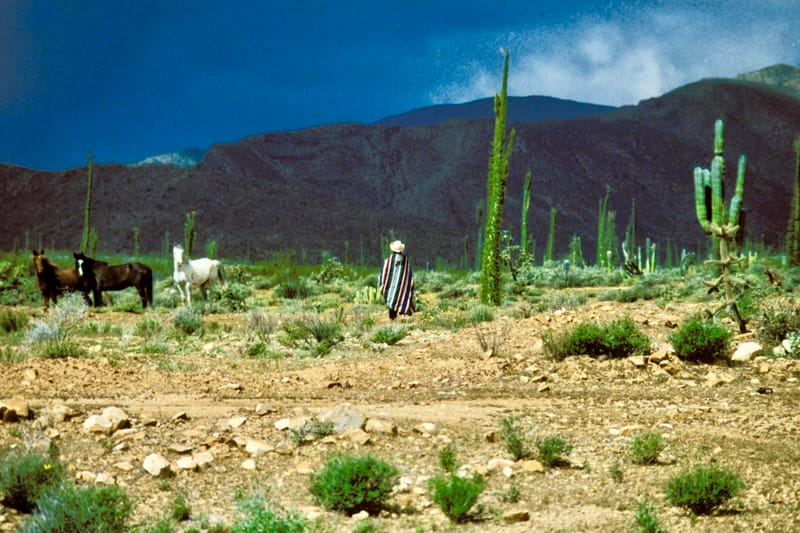 Reisen 1975-2015  |  © Almut Adler