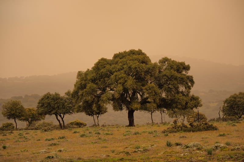 Reisen 1975-2015  |  © Almut Adler