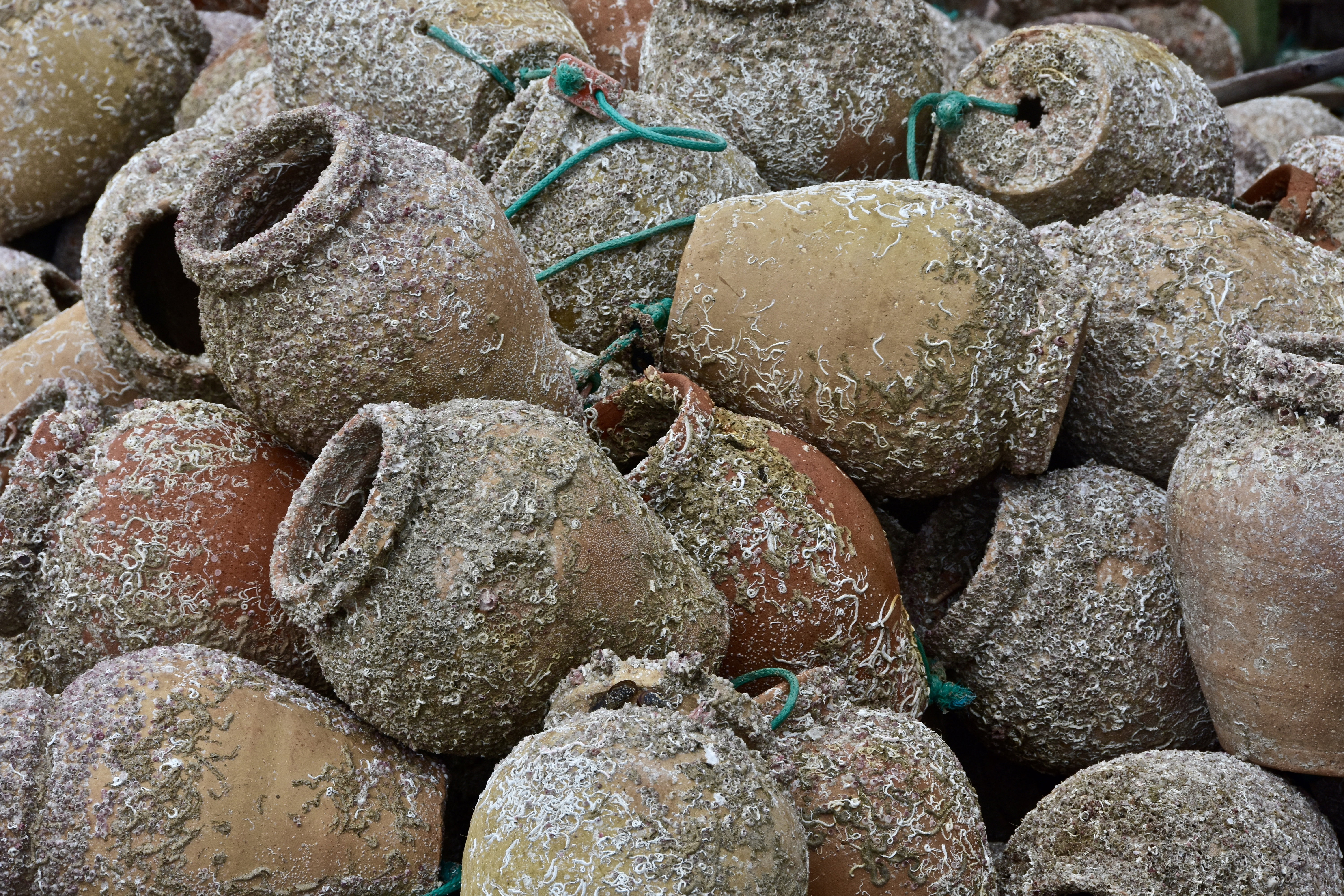 ailing |  Almut Adler