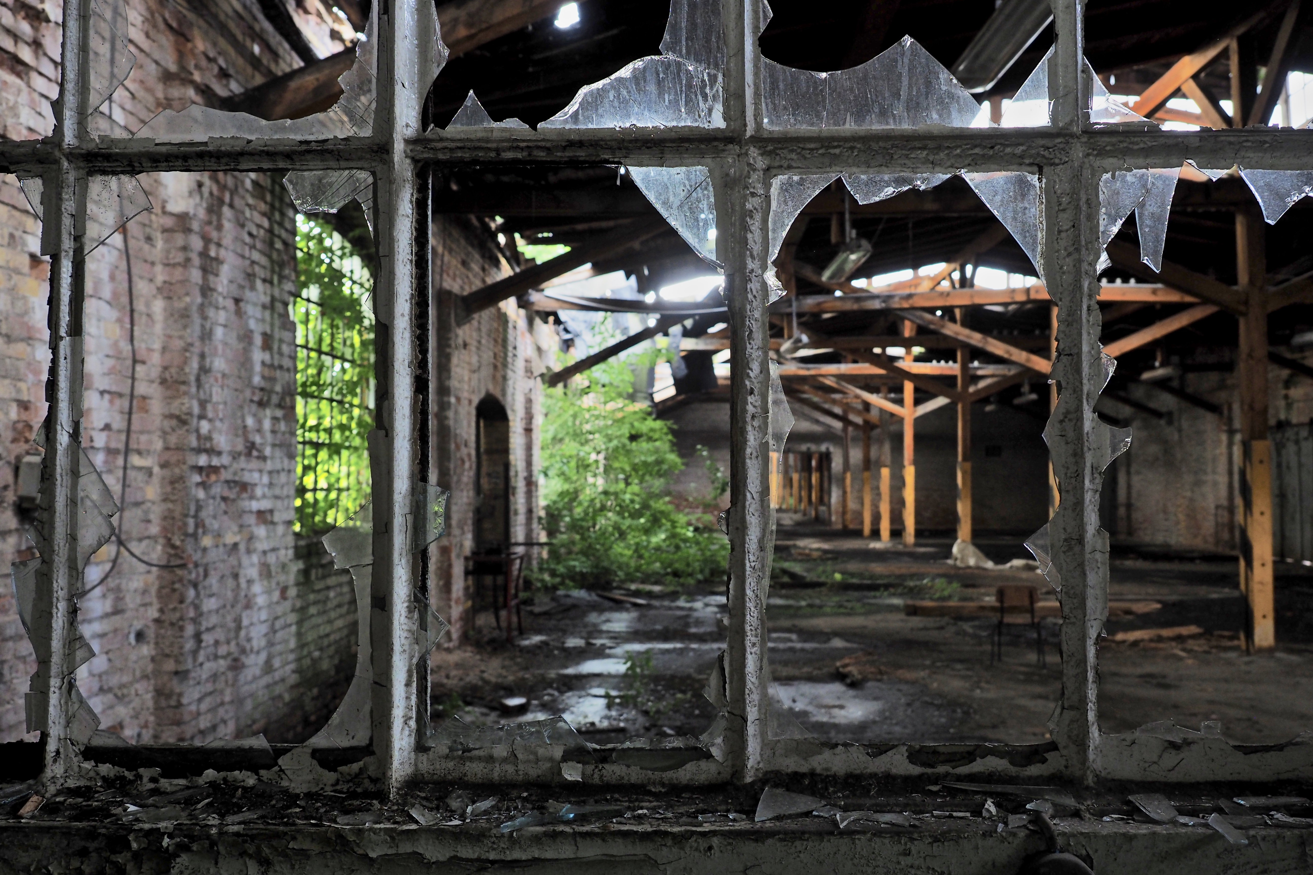 ailing |  Almut Adler