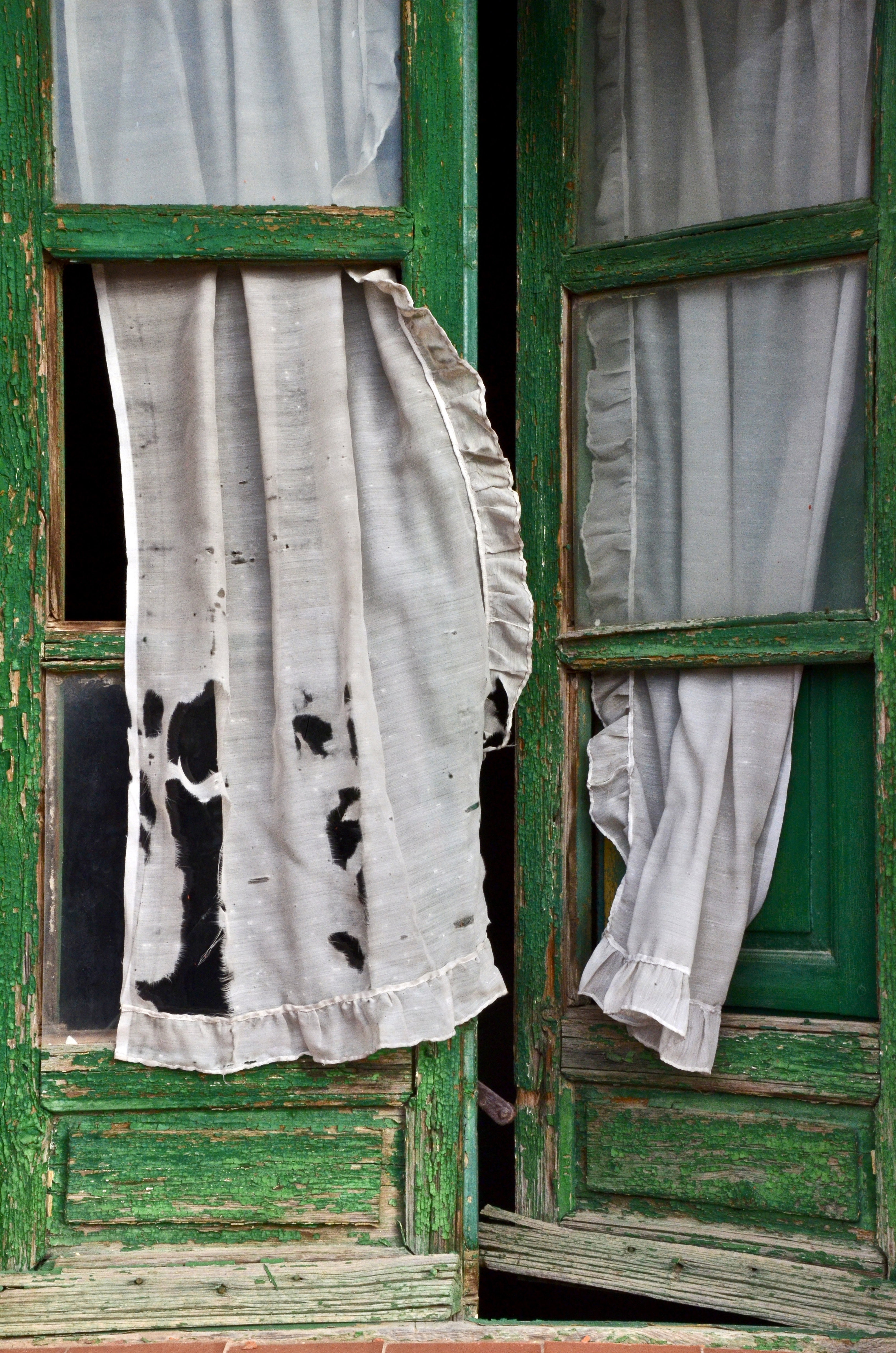 ailing |  Almut Adler