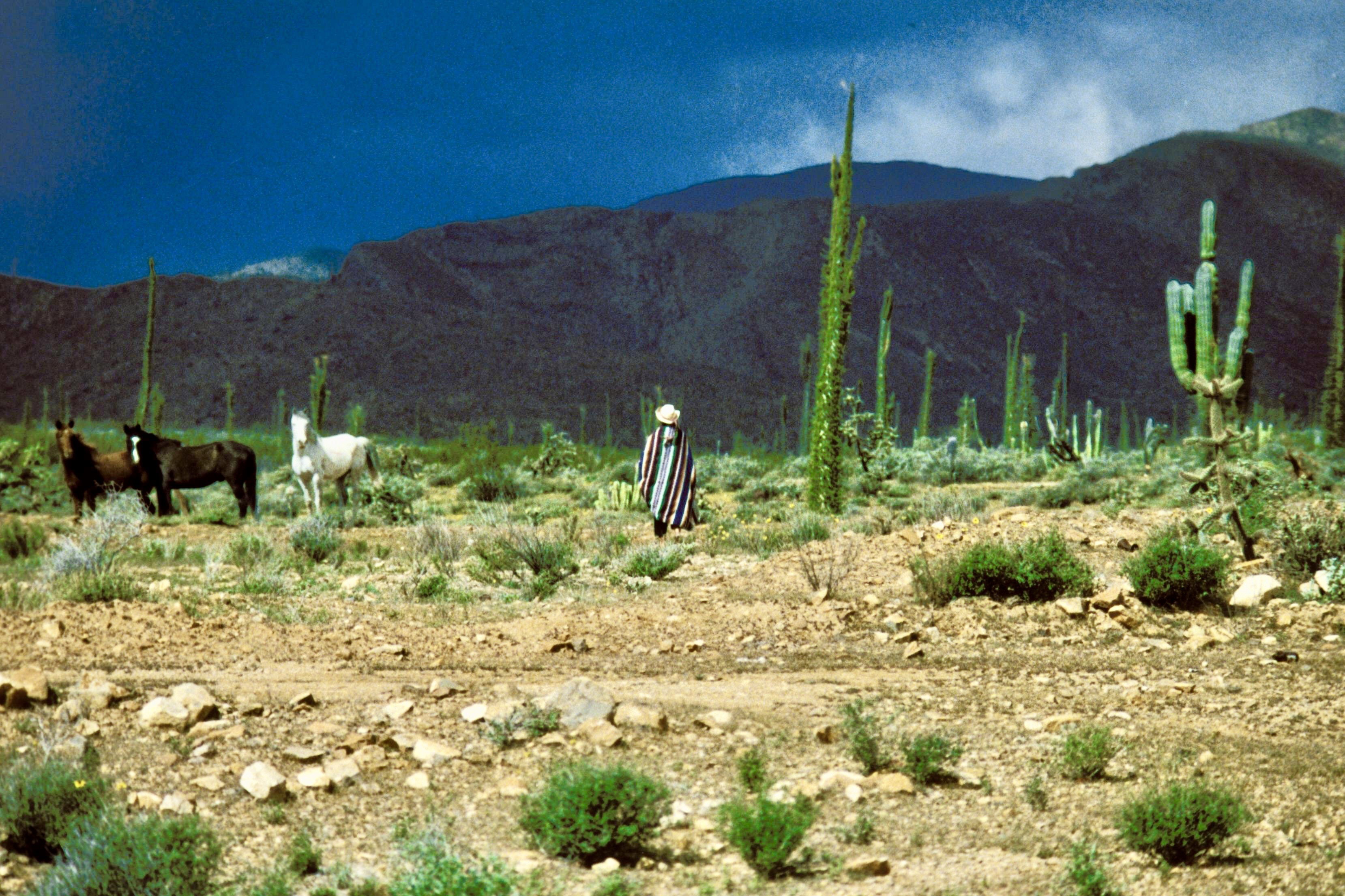 Travel 1975-2015 |  Almut Adler