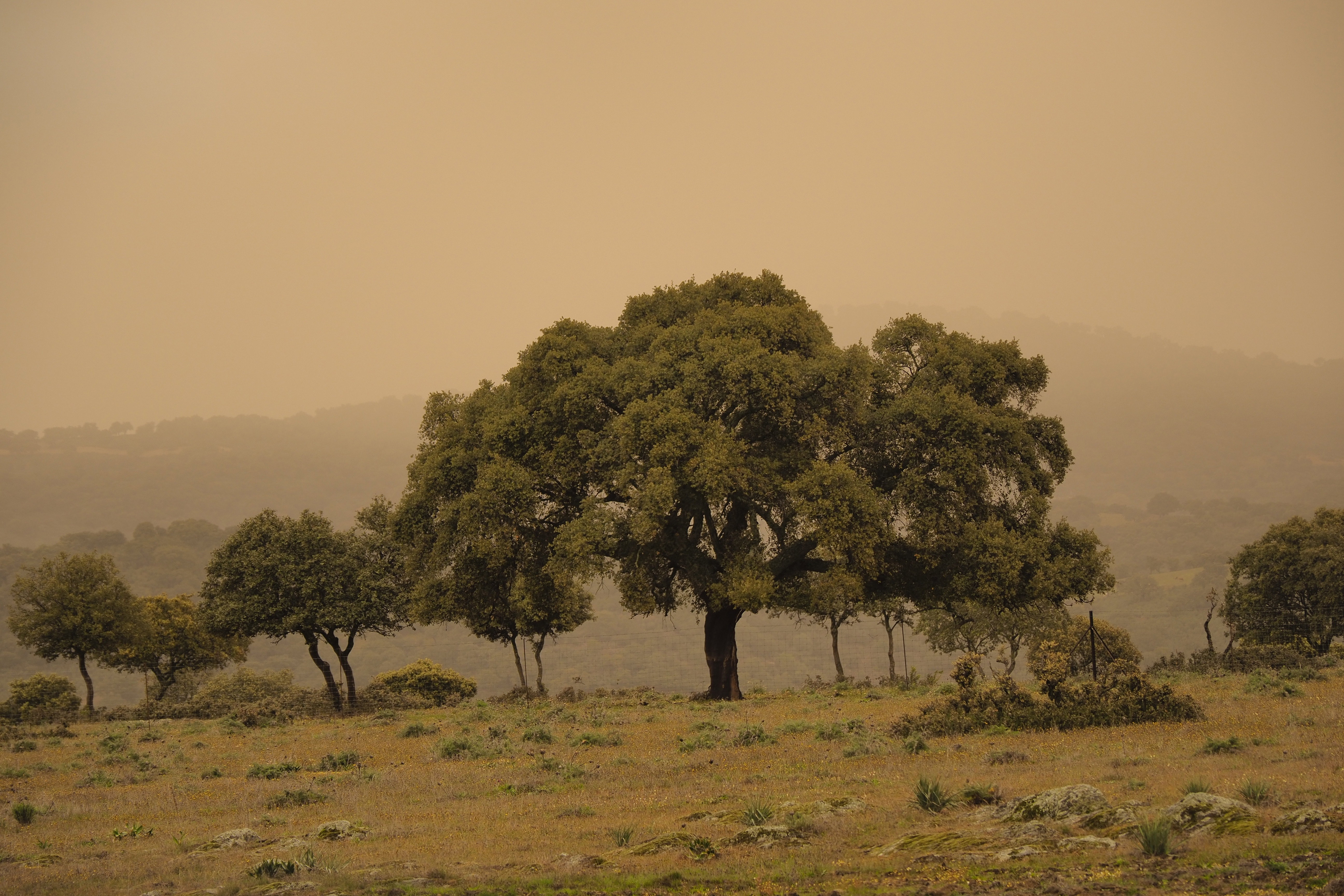 Travel 1975-2015 |  Almut Adler