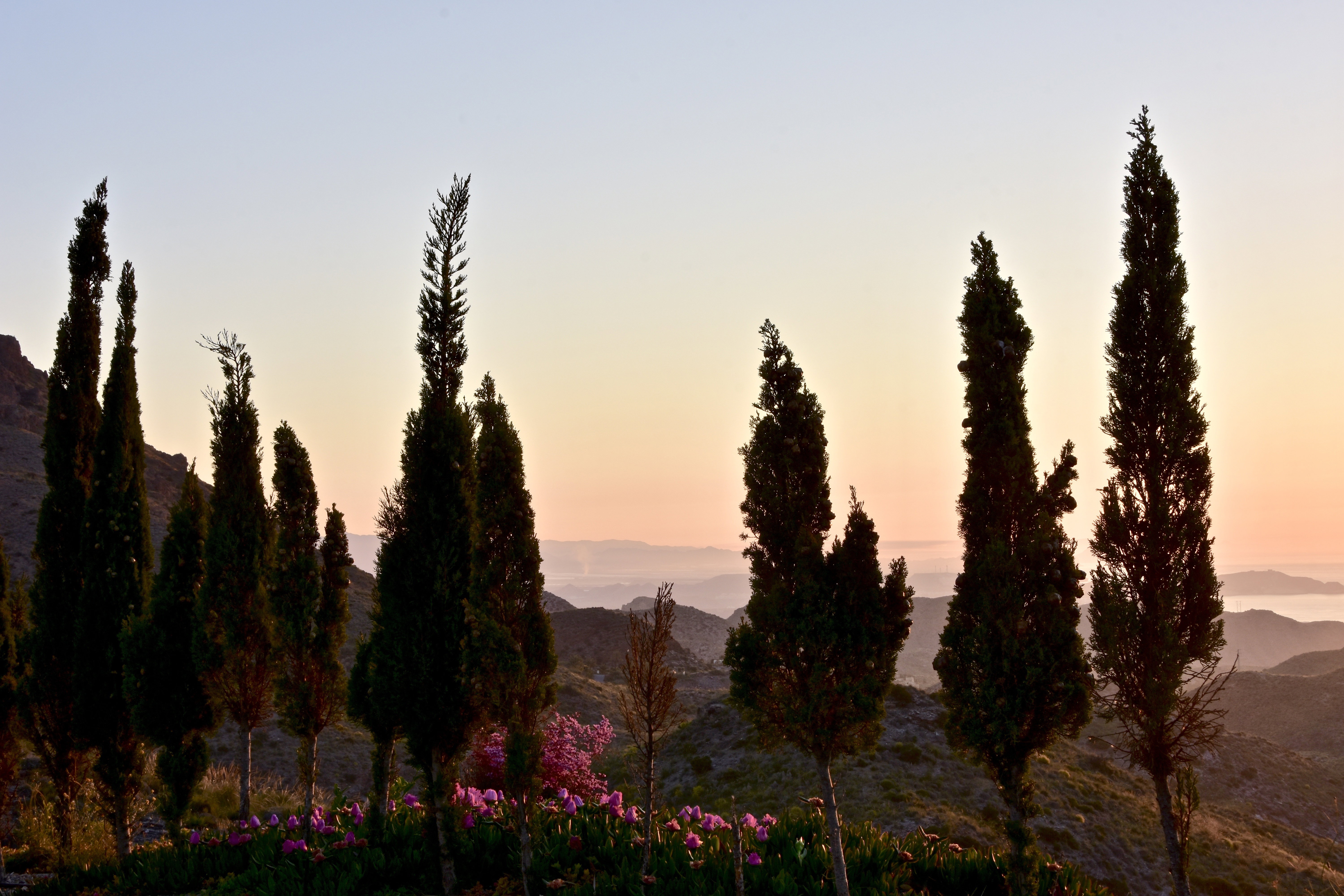 Travel 1975-2015 |  Almut Adler