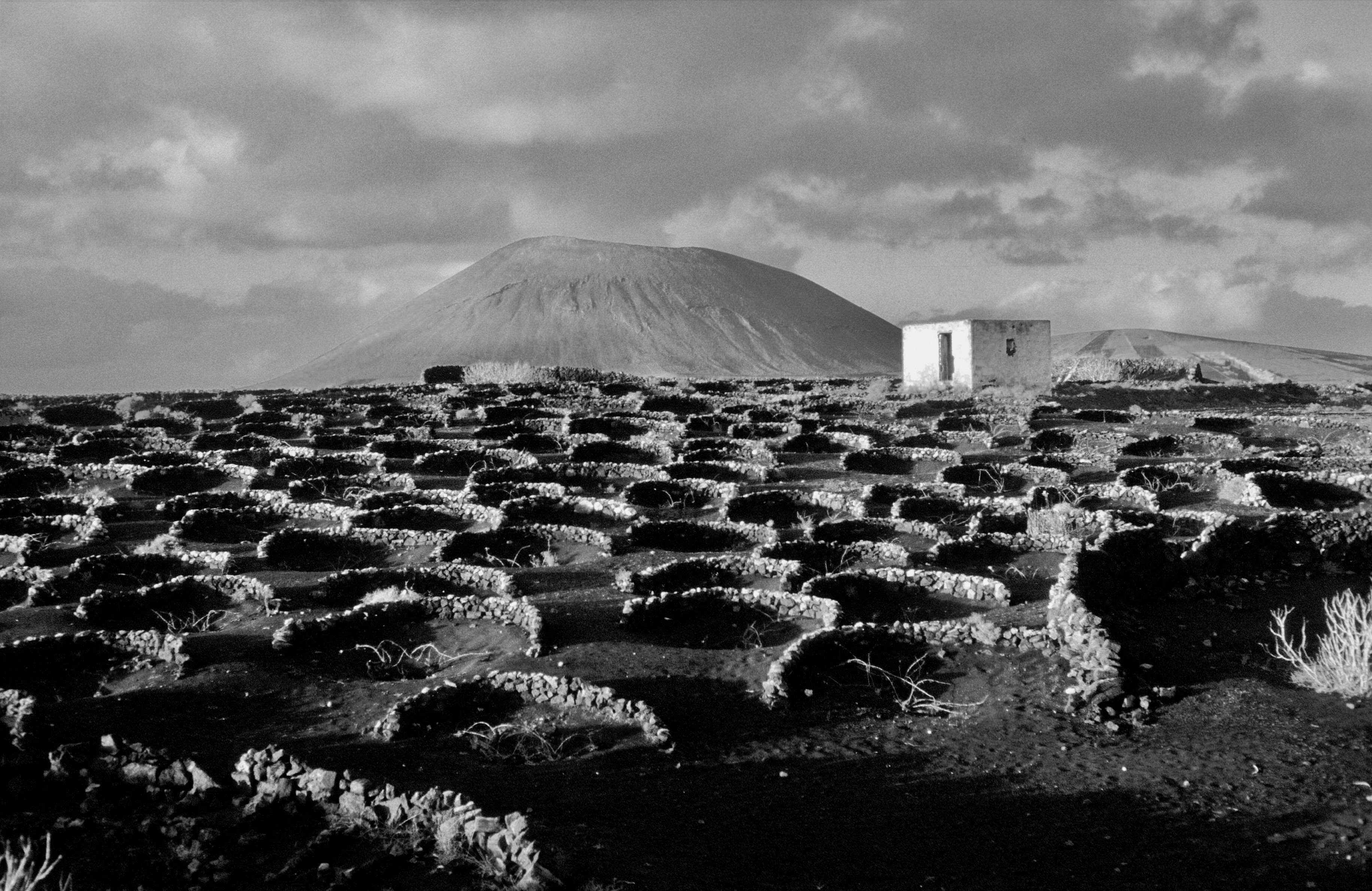 Travel 1975-2015 |  Almut Adler