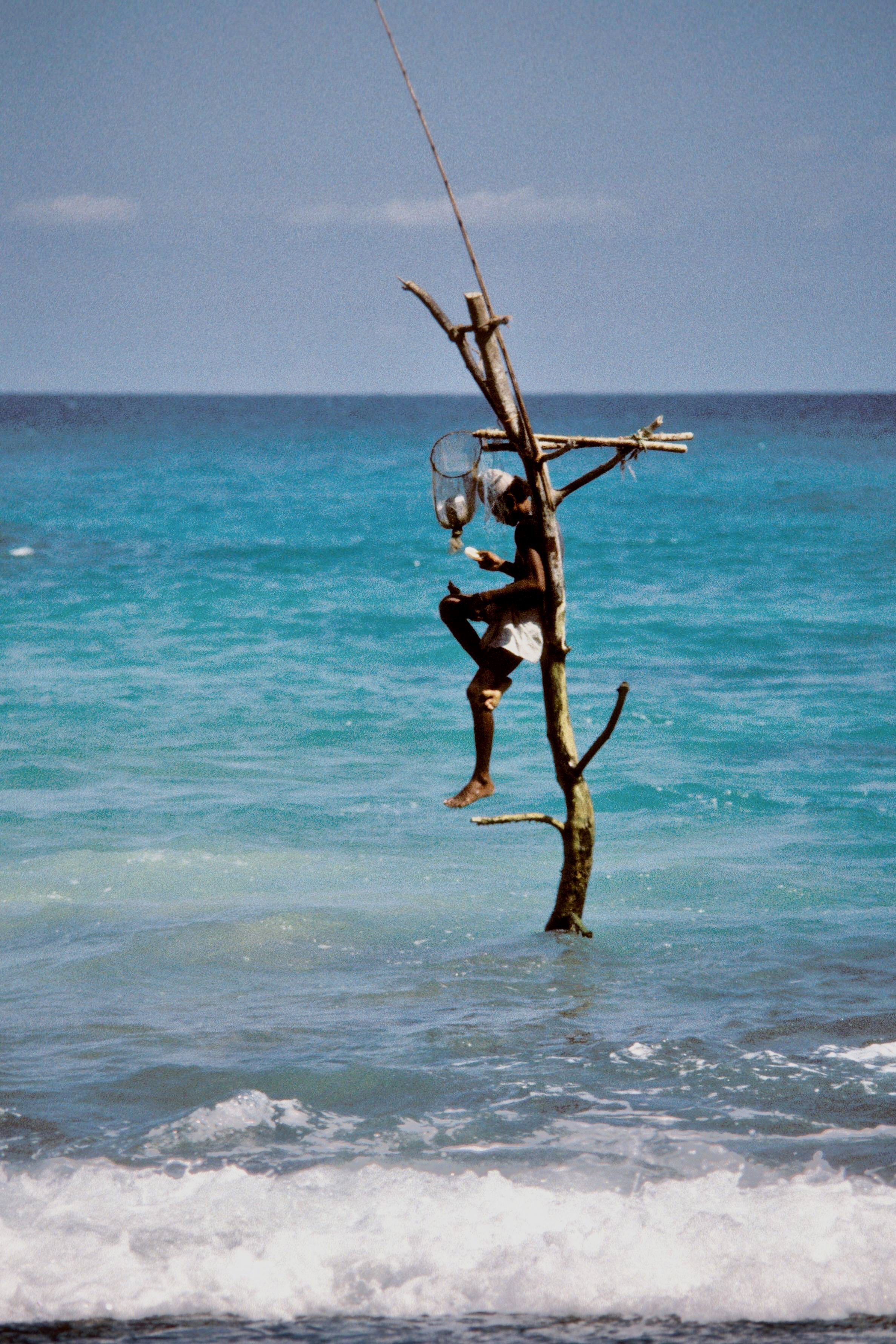 Travel 1975-2015 |  Almut Adler