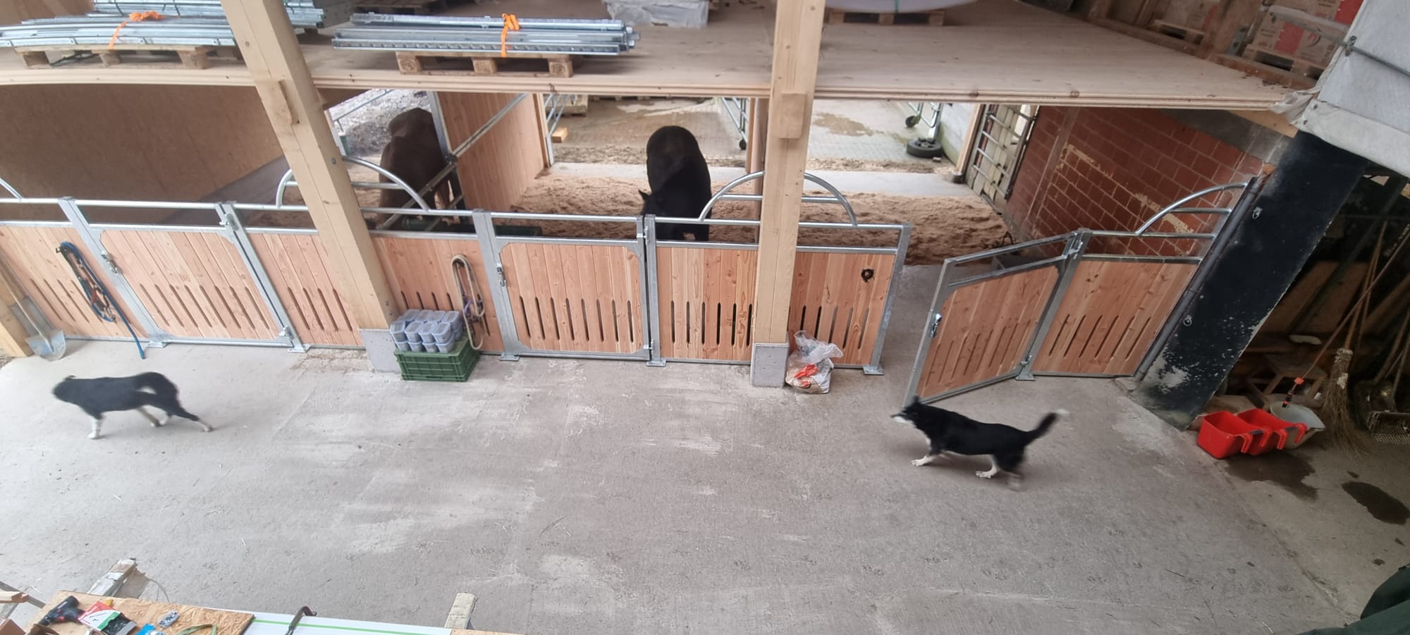 Boxen linke Seite knapp 20 m2 mit Verbindungsmöglichkeit