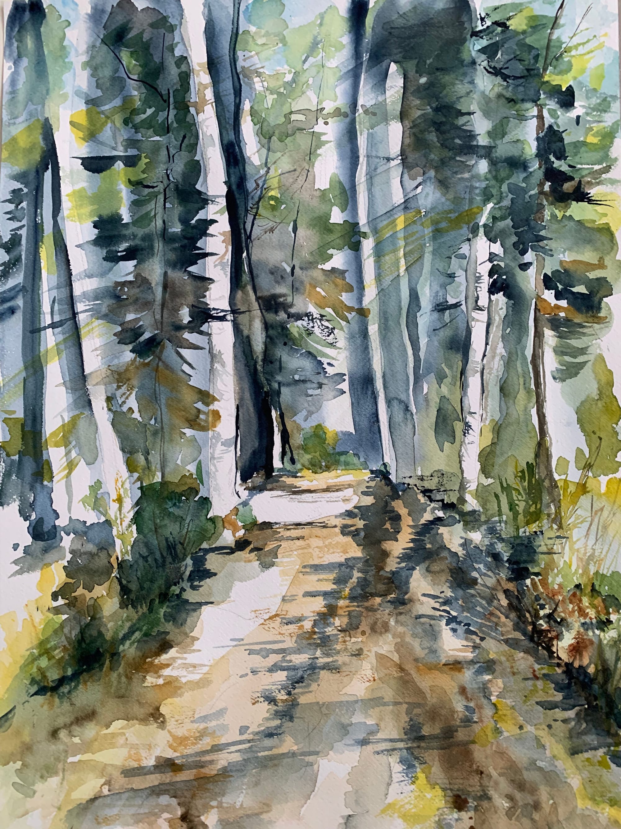 Au cœur de la forêt