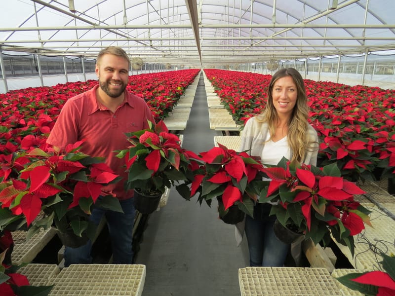 Poinsettia Fundraiser