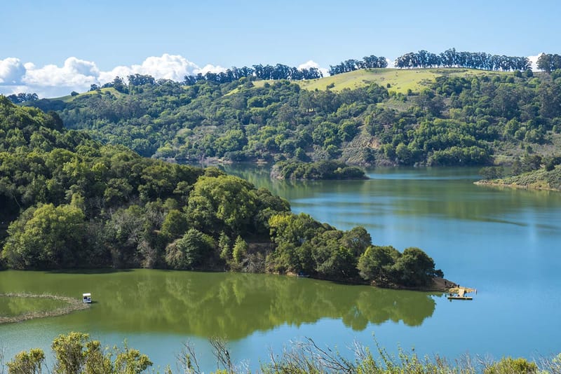 Lake Chabot Hike