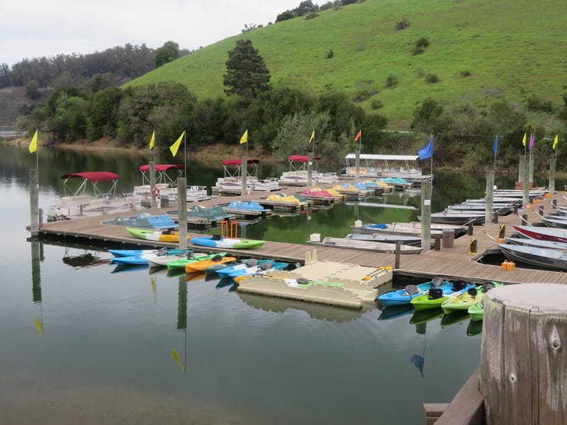 Lake Chabot East Shore Trail Hike
