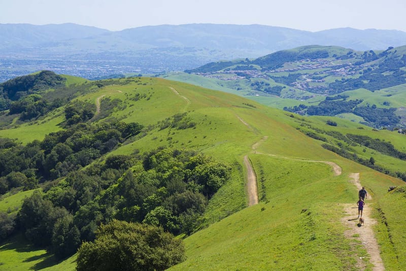 Las Trampas Wilderness Preserve Hike