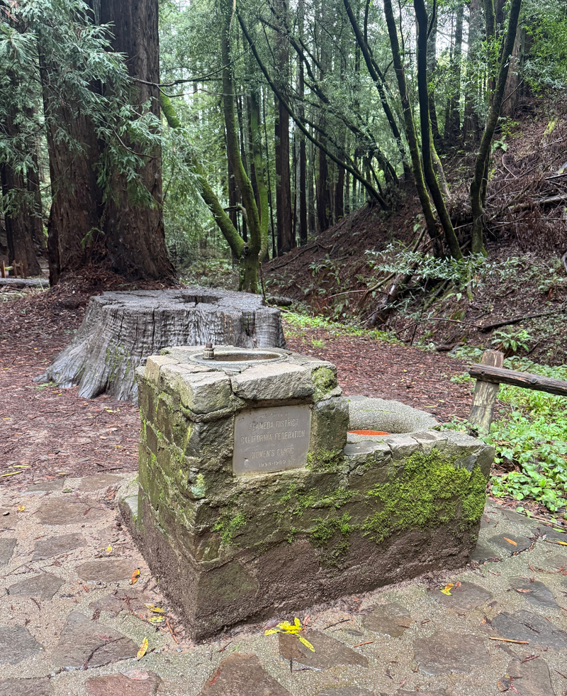 Walk to Women's Club Plaque