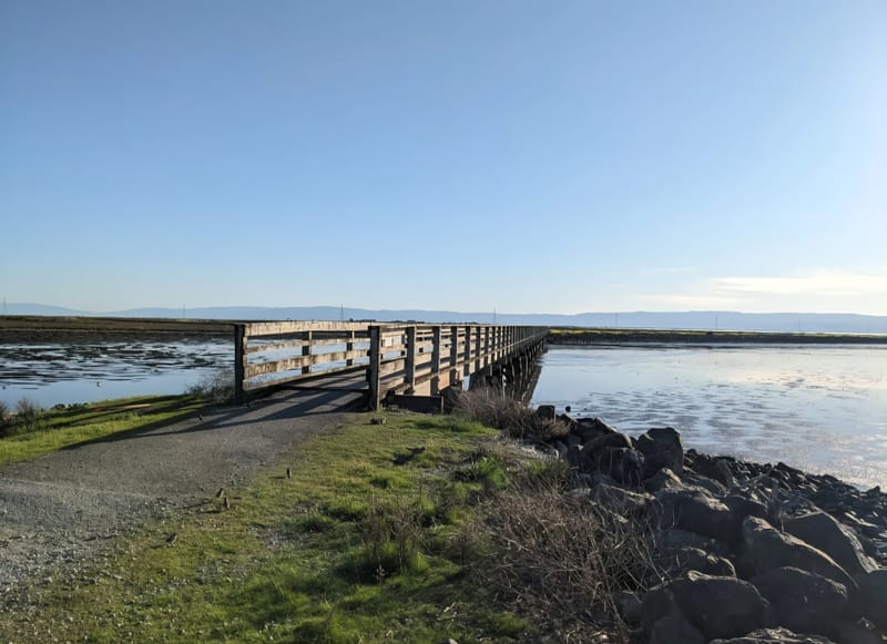Birding and Strolling at Hayward Regional Shoreline ( (Winton Avenue Entrance)