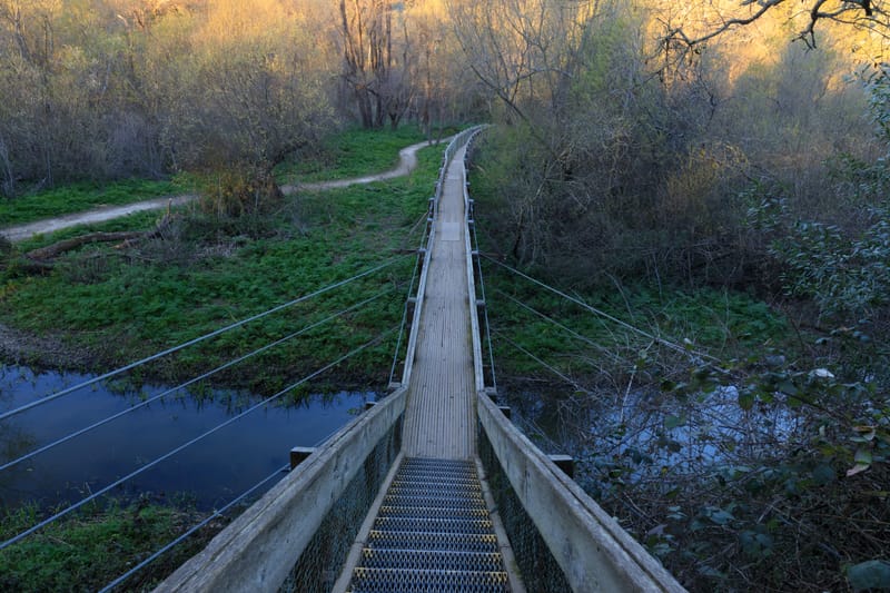 Proctor Trail to Lake Chabot Hike