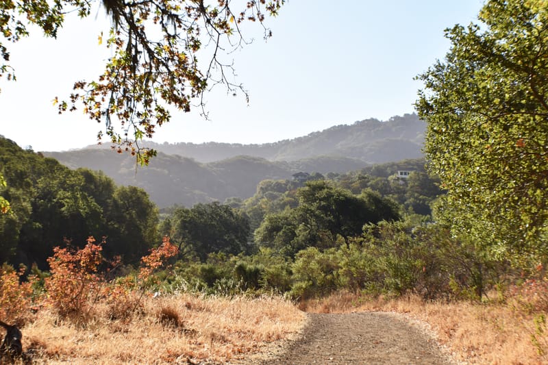 Quick Indian Cove Trail Hike
