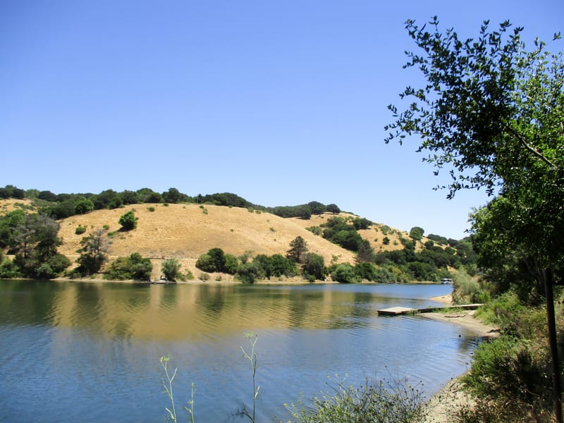 Lake Chabot East Shore Trail Afternoon Walk