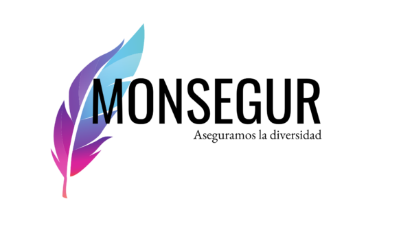 MONSEGUR - INCLUSIVE INSURANCE CONSULTING