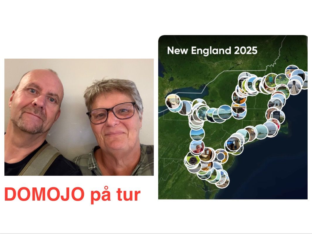 Sidste køredag og hjem på Business