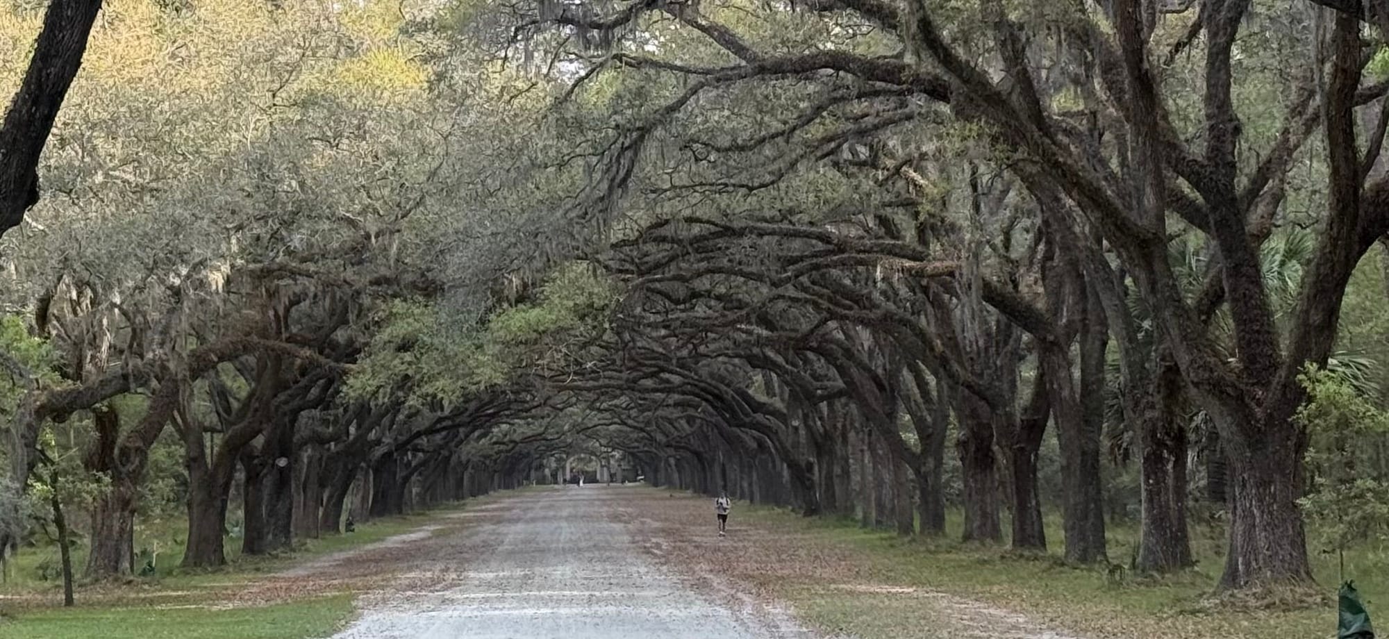 Goodbye Savannah og Georgia. Hallo igen til Florida