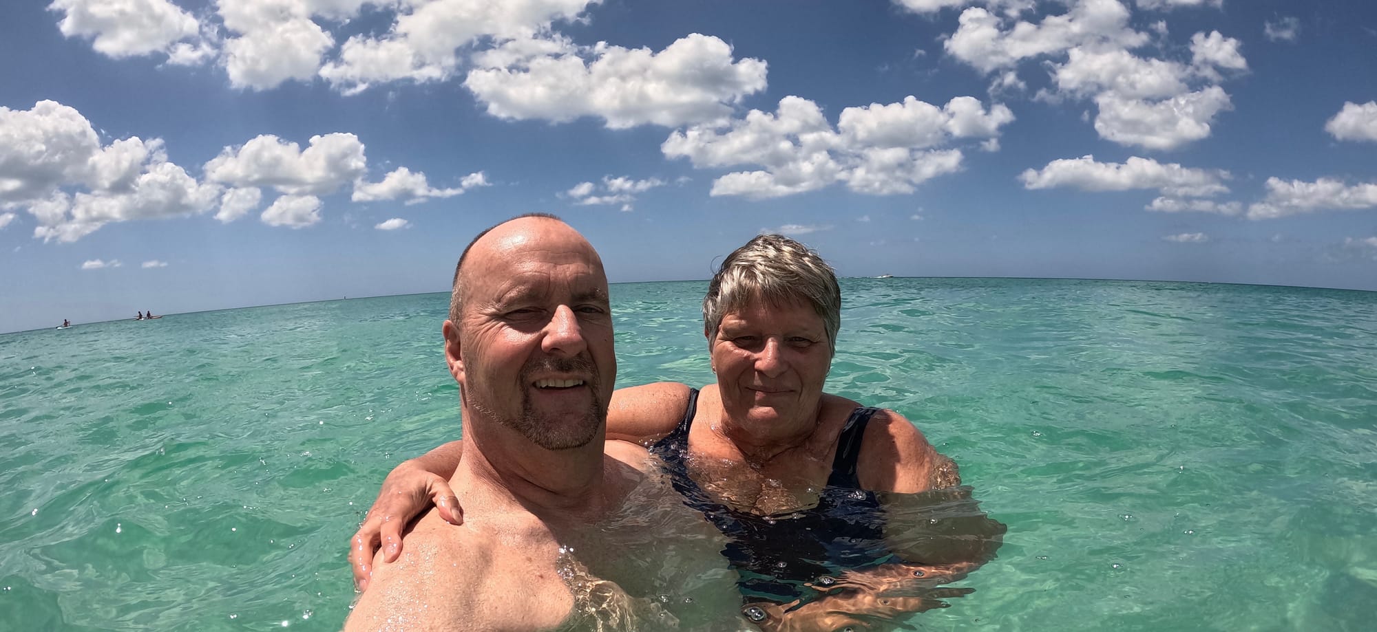 Endnu en badedag med hajtand og delfin