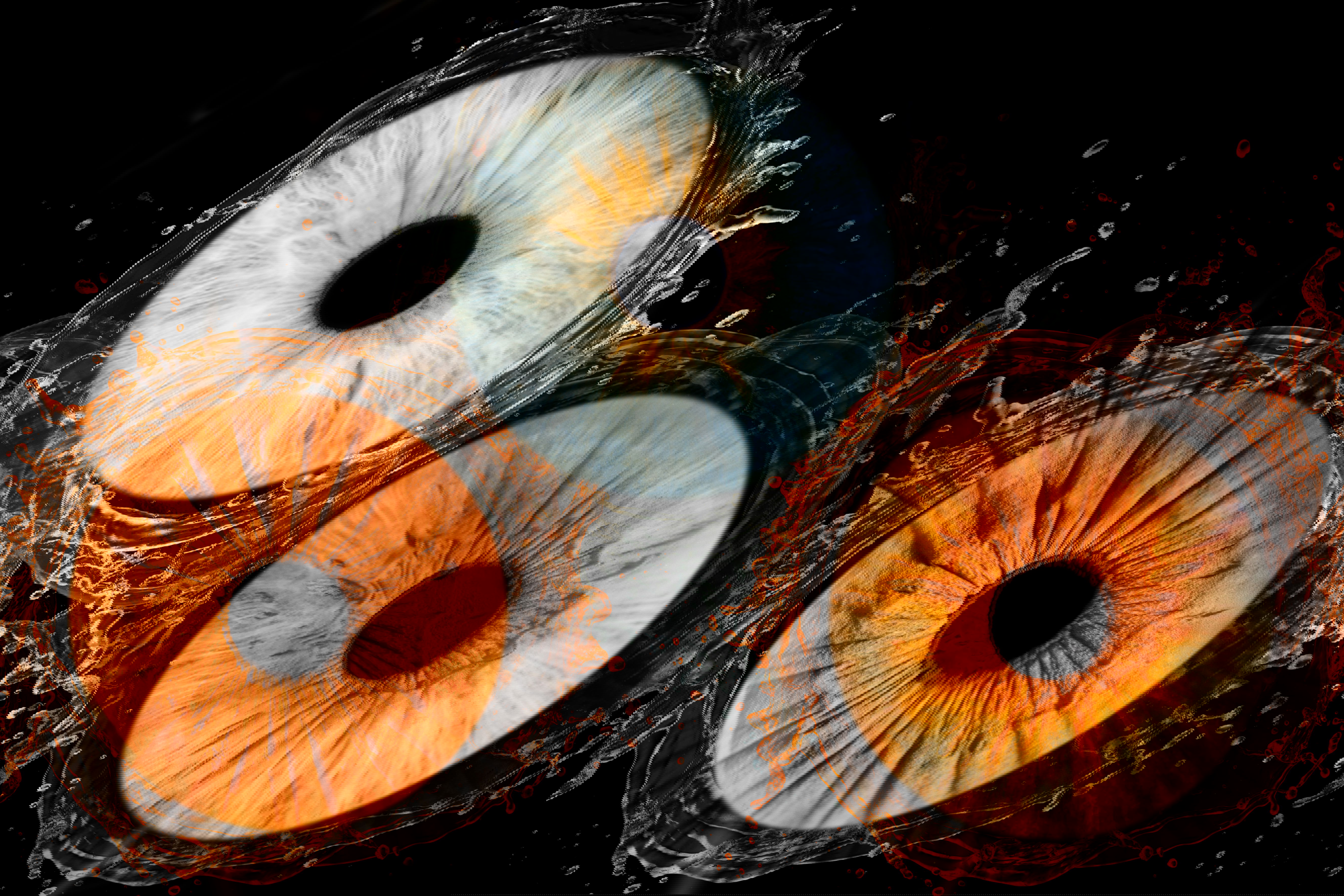 Portrait d'art photo iris 3 personnes