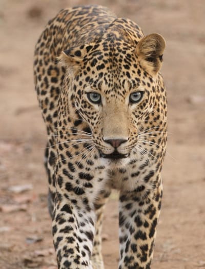 עשר חוקים שישנו את החיים שלך