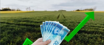 הון עצמי והשווי שלך: מה לעשות כדי להגדיל אותו