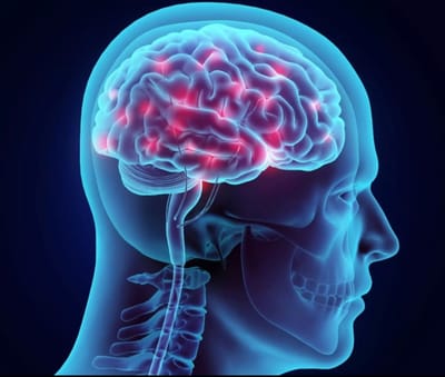 המוח שלך - איך לחזק את המוח שלך