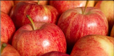 18 חוקים פשוטים לגוף חטוב - קבלו החלטה ובצעו!