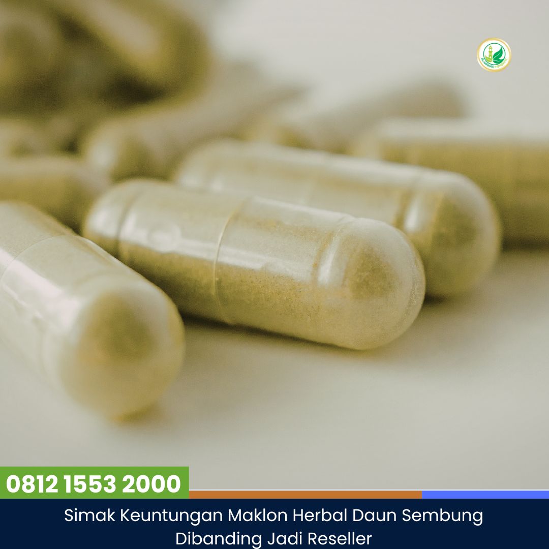 Simak Keuntungan Maklon Herbal Daun Sembung Dibanding Jadi Reseller