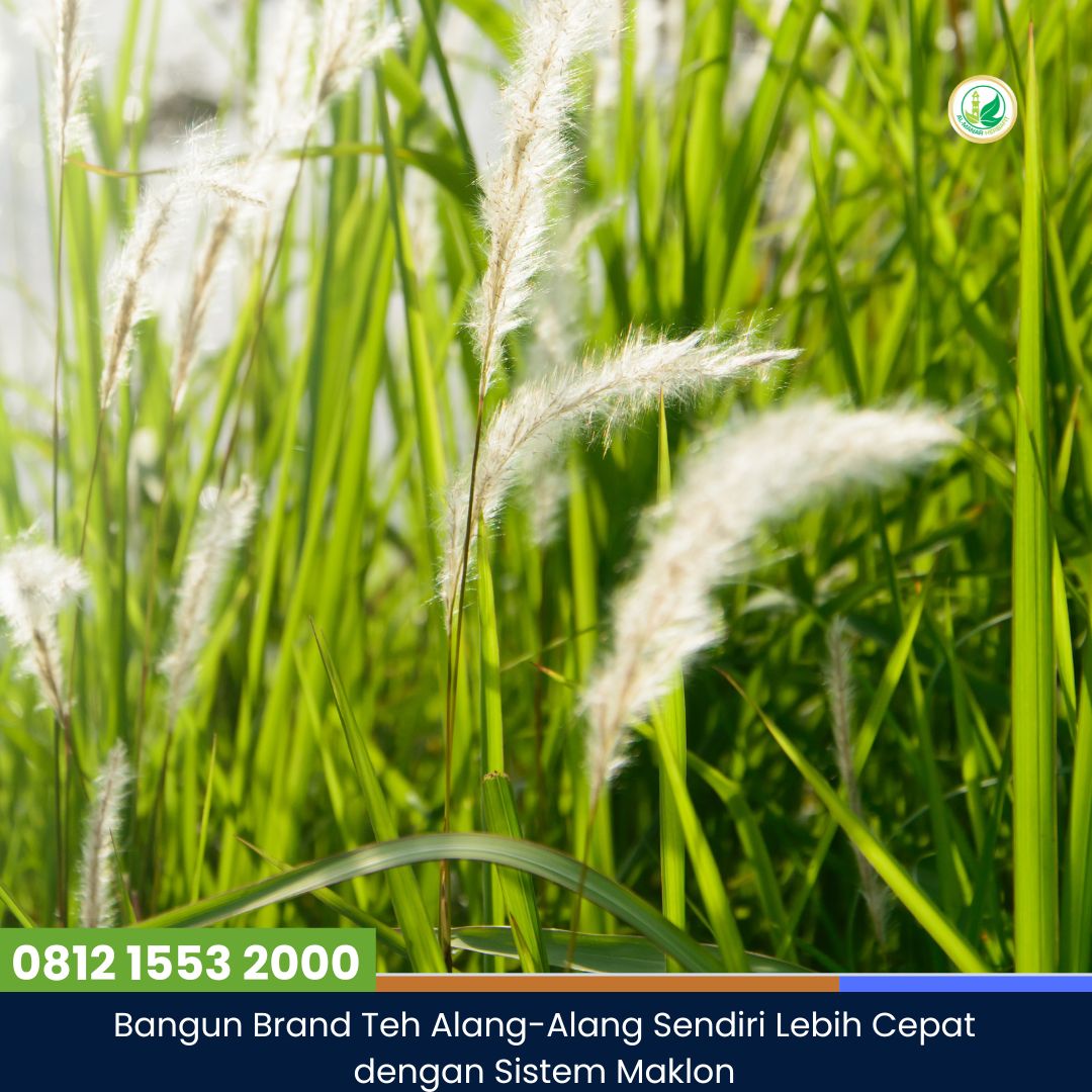 Bangun Brand Teh Alang-Alang Sendiri Lebih Cepat dengan Sistem Maklon