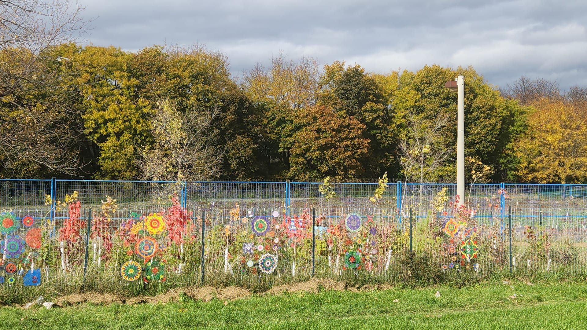 Light and Patterns - A Diwali Community Art installation workshop