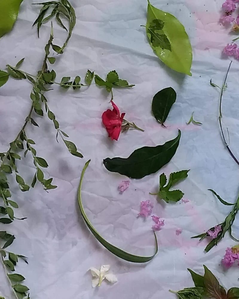 Ecologically Sustainable Art