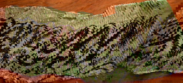 "Western Desert Ink Wash Drawings'  No set size. Substrate is dried banana leaf. Higgins Sepia Ink wash.