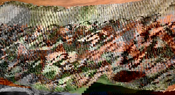 "Western Desert Ink Wash Drawings'  No set size. Substrate is dried banana leaf. Higgins Sepia Ink wash.