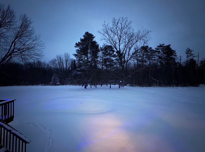 Homemade Cookies 🍪 Dec 2025