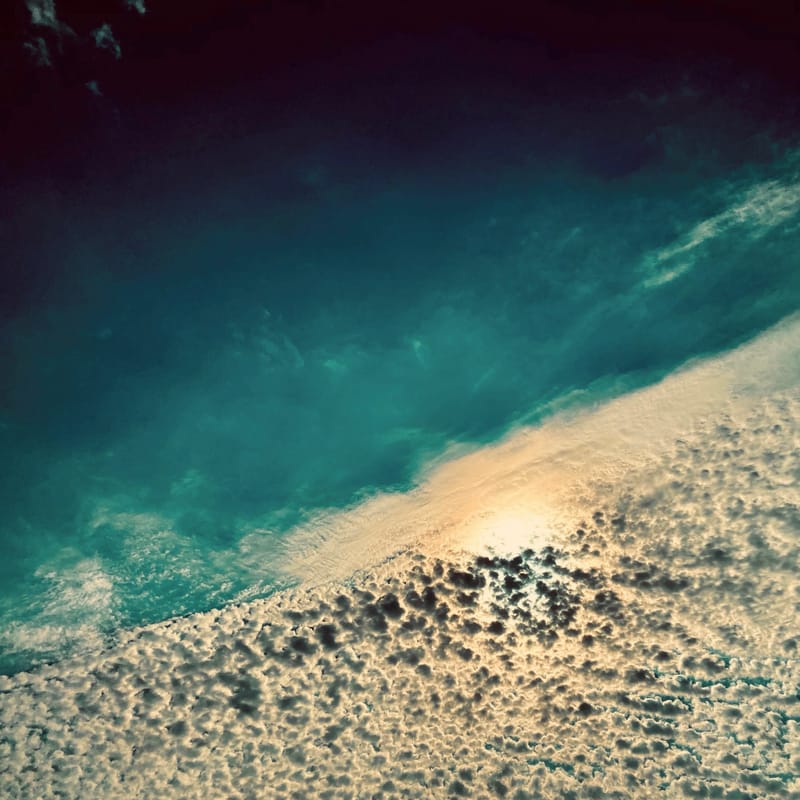 Five Years of "Cosmic Dream 116"